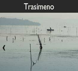 trasimeno